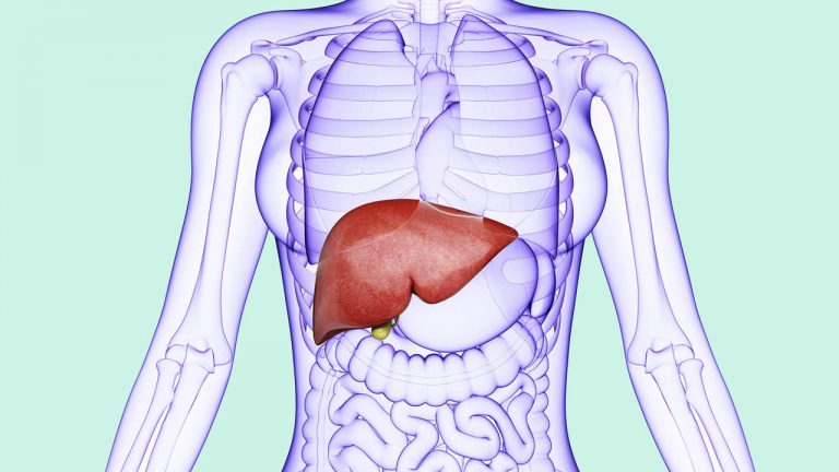 liver-disease