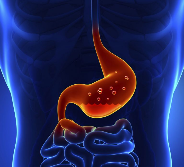 stomach