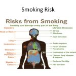 Reduce-Effects-of-Smoking3