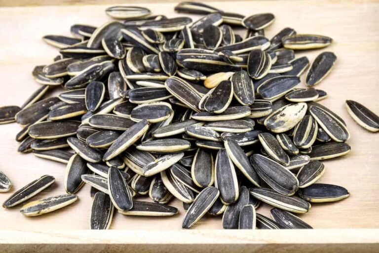 Benefits-of-Sunflower-Seeds