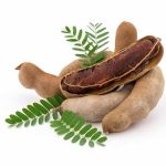 tamarind-fruits