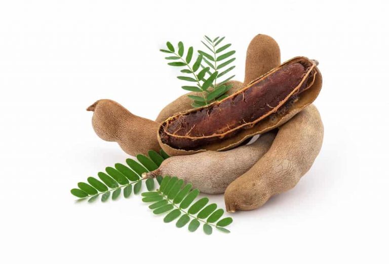 tamarind-fruits