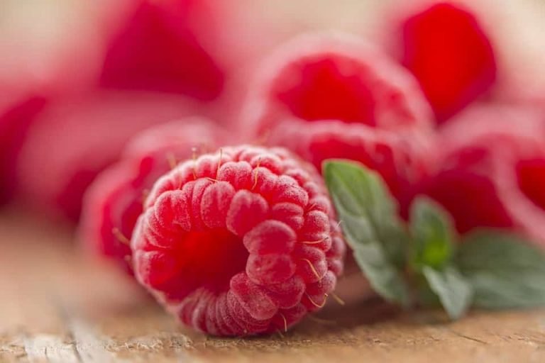 Raspberries
