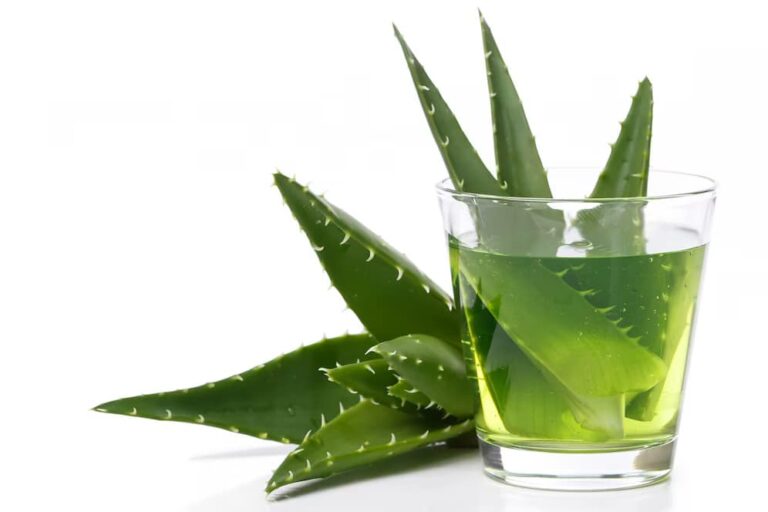 Aloe-Vera