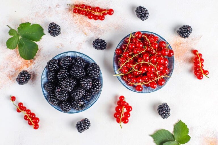 Wild-Berries