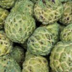 Health-Benefits-of-Sweetsop