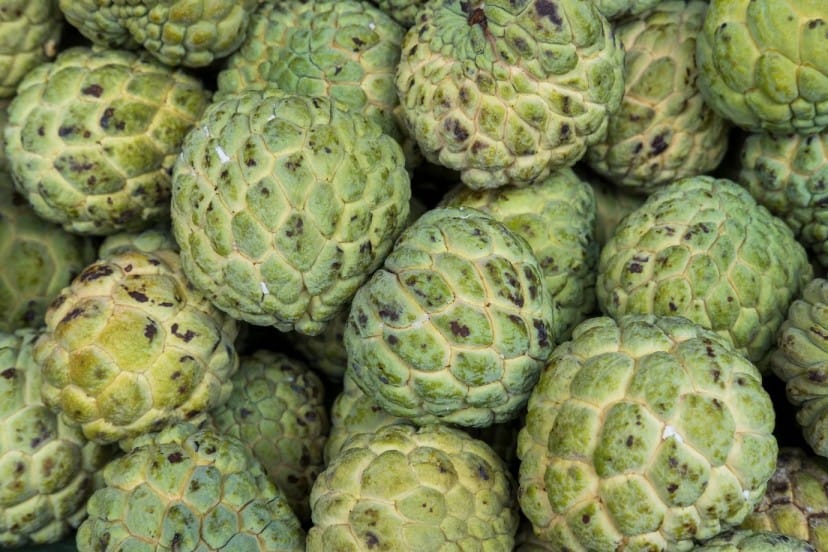 Health-Benefits-of-Sweetsop