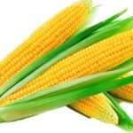 corn