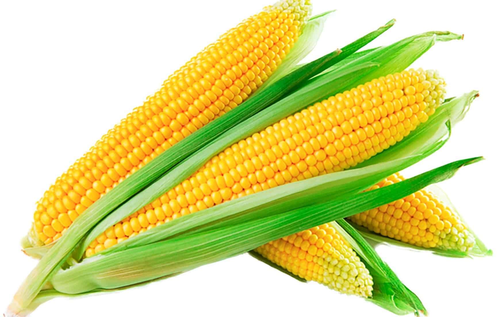 corn