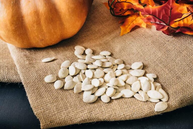 pumpkin-Seeds