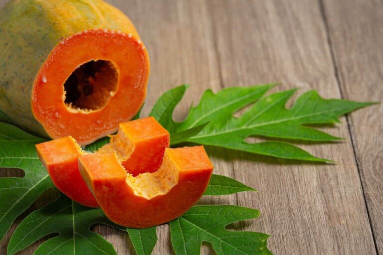 papaya